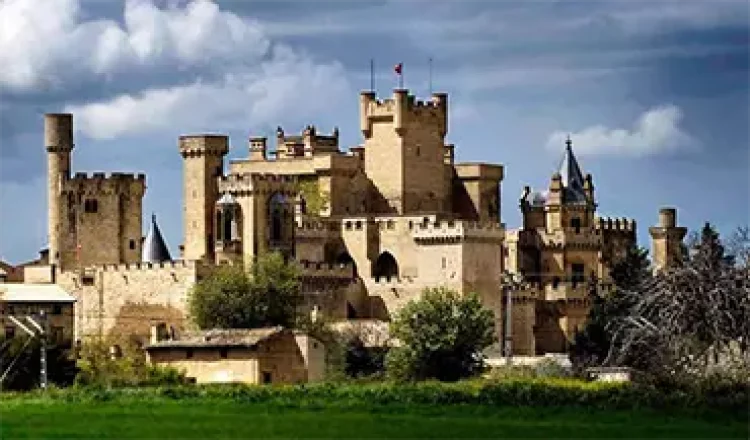 castillo de la ribera y olite m